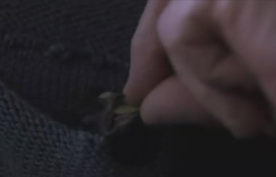 film222.jpg