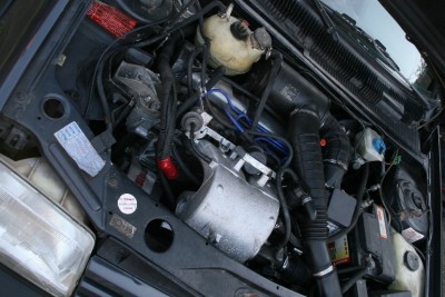 IMG_0477.JPG (370.69 KiB) Przejrzano 6922 razy Nowe serce