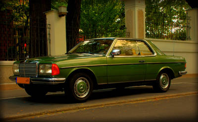 w123.jpg