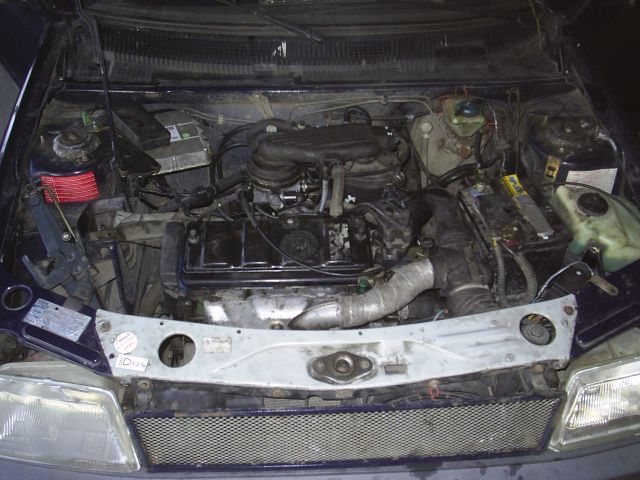 Pug205d 018.jpg
