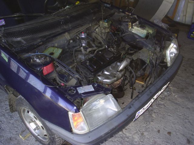 Pug205d 003.jpg