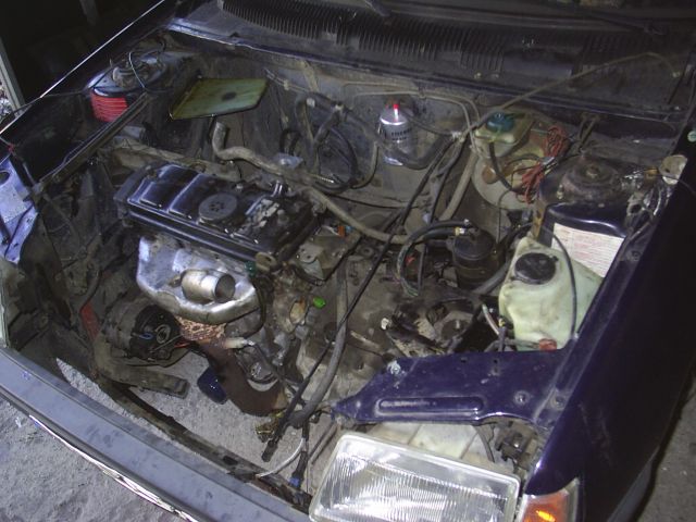 Pug205d 002.jpg