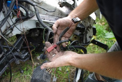 IMGP6135.JPG (184.18 KiB) Przejrzano 5619 razy kalkologia