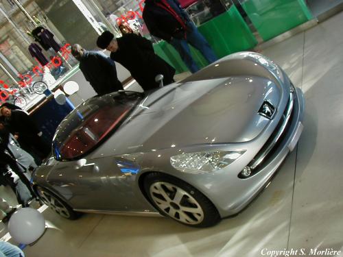 2000_peugeot_607_feline_20_m.jpg