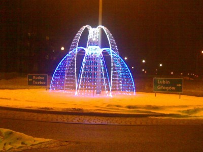20100215694.jpg