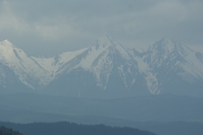 Obraz 880.jpg