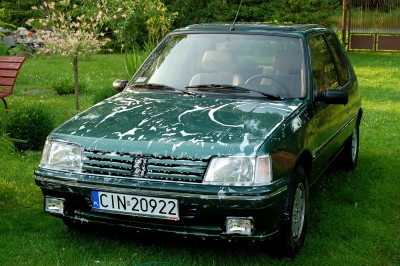 DSC_8871.JPG