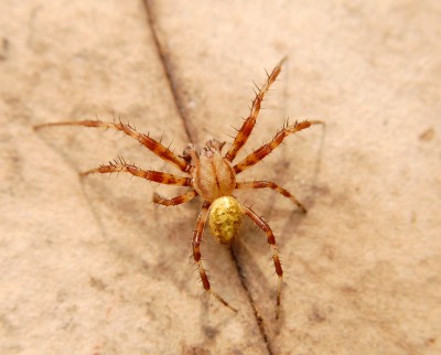 DSC_2878.JPG