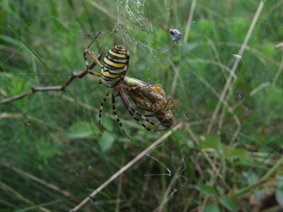 DSCF6964m.jpg
