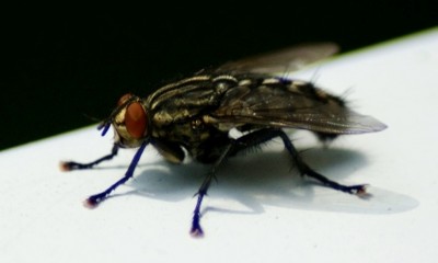 DSC09404.JPG