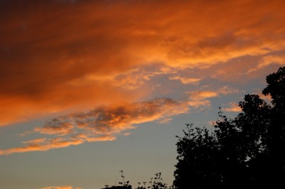 DSC09465.JPG