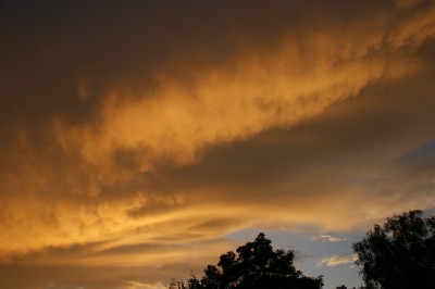 DSC09451.JPG