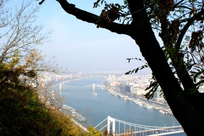 DSC09786.JPG