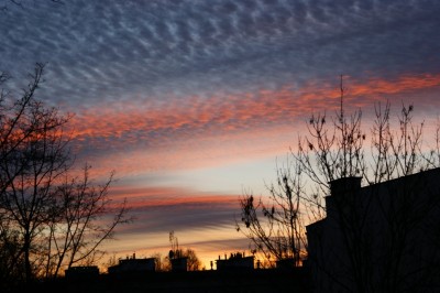 DSC00675.JPG