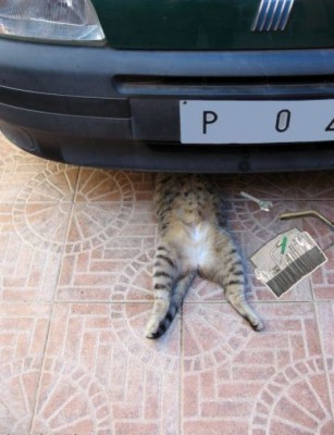 24.jpg (56.19 KiB) Przejrzano 6830 razy 24.jpg