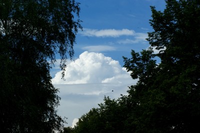 DSC01705.JPG