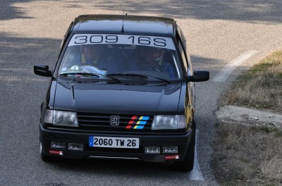 309.jpg