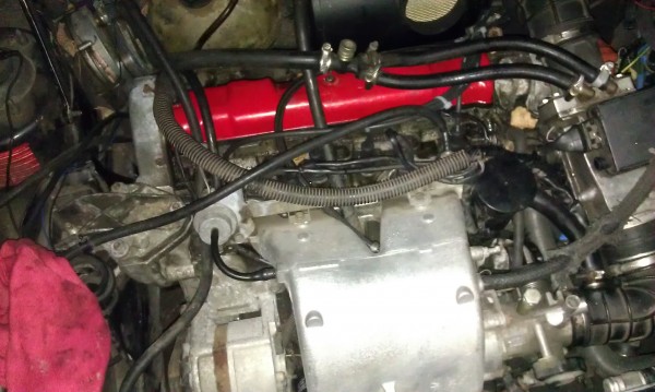 IMAG0025.jpg