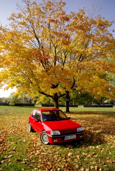 _IGP2533-001.JPG (292.59 KiB) Przejrzano 37233 razy Fotka z Jesiennej sesji