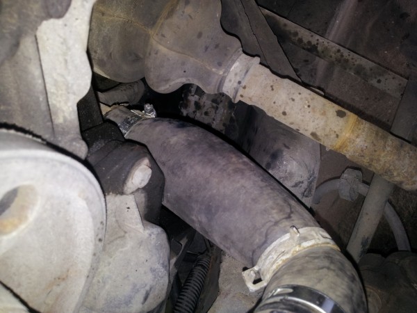 20130715_093831.jpg (2.53 MiB) Przejrzano 6884 razy tak węże puchły