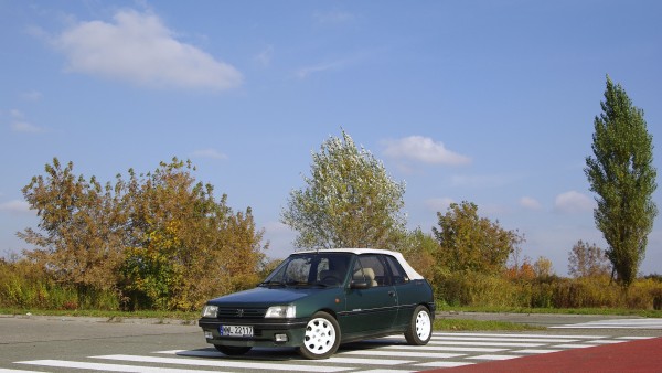 _IGP4911.JPG