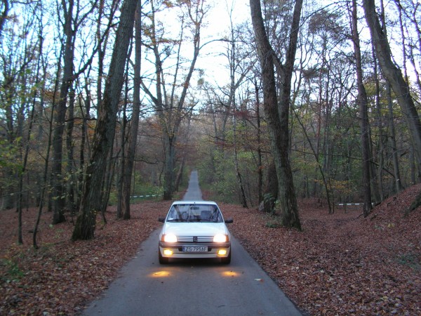 PICT0019.JPG