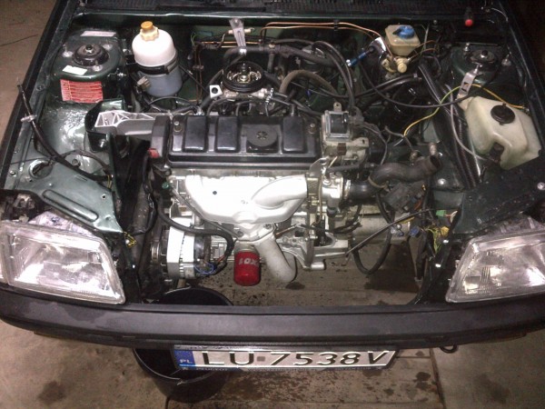 IMG-20131107-00462.jpg