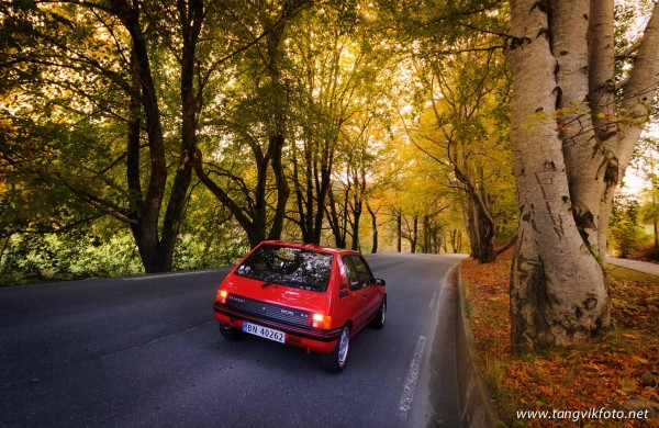 Peugeot 205-7223-X 2013.jpg