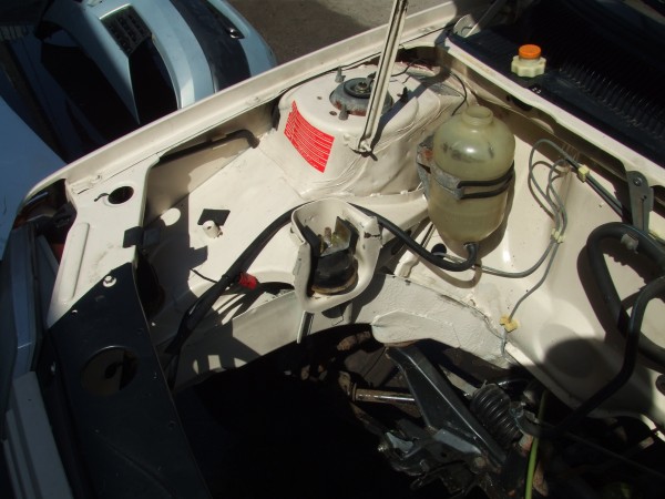 DSCF1157.JPG