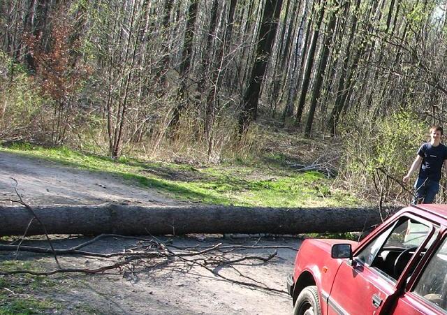 Pomimo niesprzyjających okoliczności przyrody, gnani chęcią sprawienia Wam, drodzy forumowicze, radości...