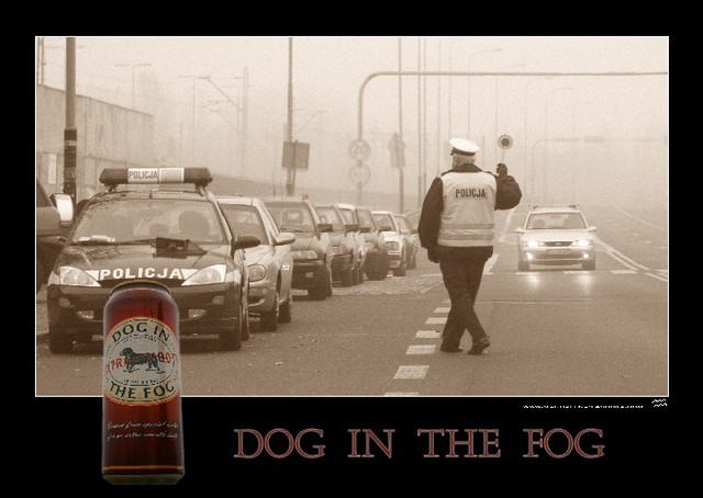 Dog In The Fog