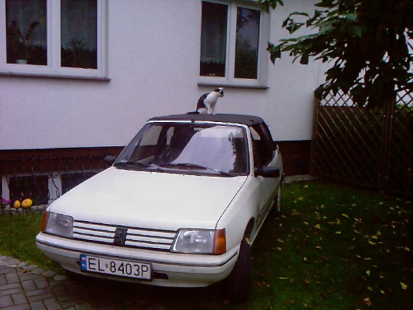 Zdjęcia-0092.jpg
