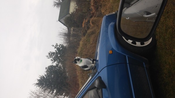 uploadfromtaptalk1426065103127.jpg (1.62 MiB) Przejrzano 14890 razy uploadfromtaptalk1426065103127.jpg