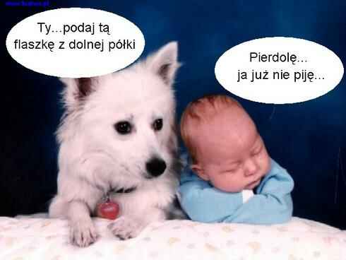 pierdole_nie_pije.jpg