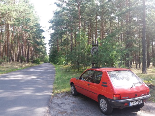 20170826_103634.jpg (1.9 MiB) Przejrzano 9337 razy Bory Tucholskie