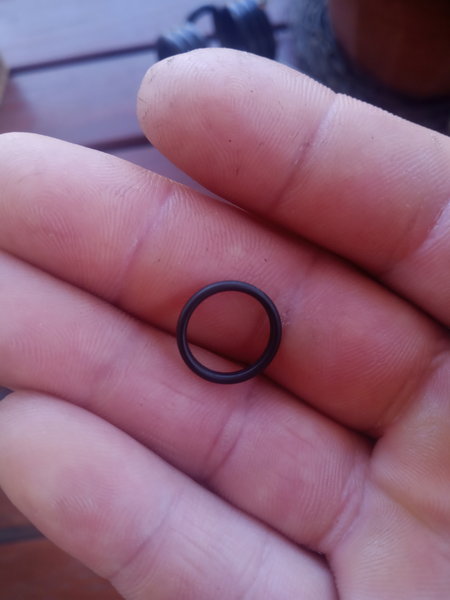 Oring.jpg (3.08 MiB) Przejrzano 9449 razy w mordę kopany